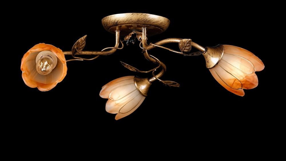 Люстри стельові в спальню Splendid-Ray 882219