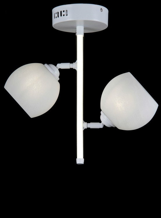 Люстри стельові з пафоном Splendid-Ray 1002722 (WHITE), фото 1