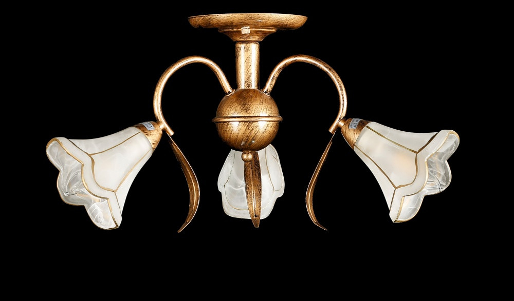 Люстри стельові з пафоном Splendid-Ray 192290, фото 1