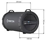 Портативна колонка Manta SPK204FM, фото 10
