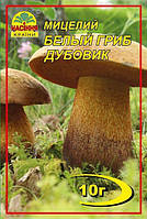 Мицелий грибов Насіння країни Белый гриб Дубовик 10 г