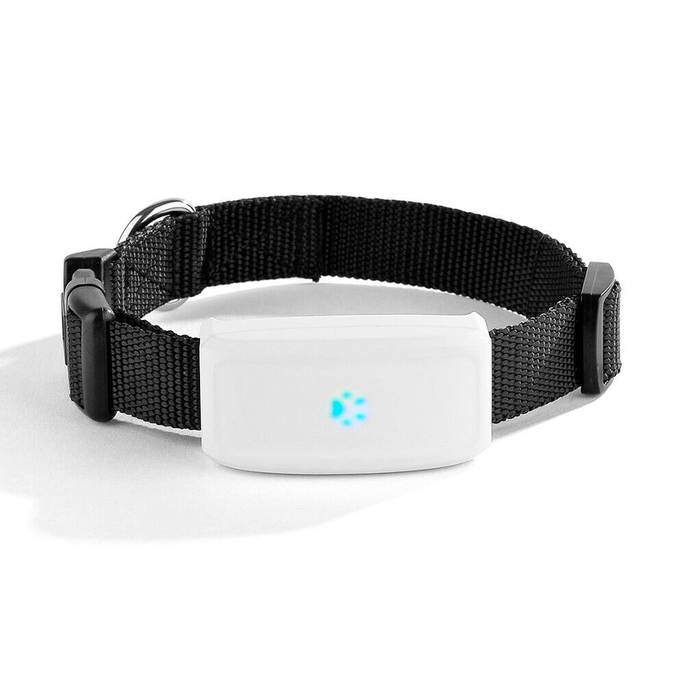 Розумний нашийник для собак і котів з GPS трекером і вологозахистом TKSTAR TK911