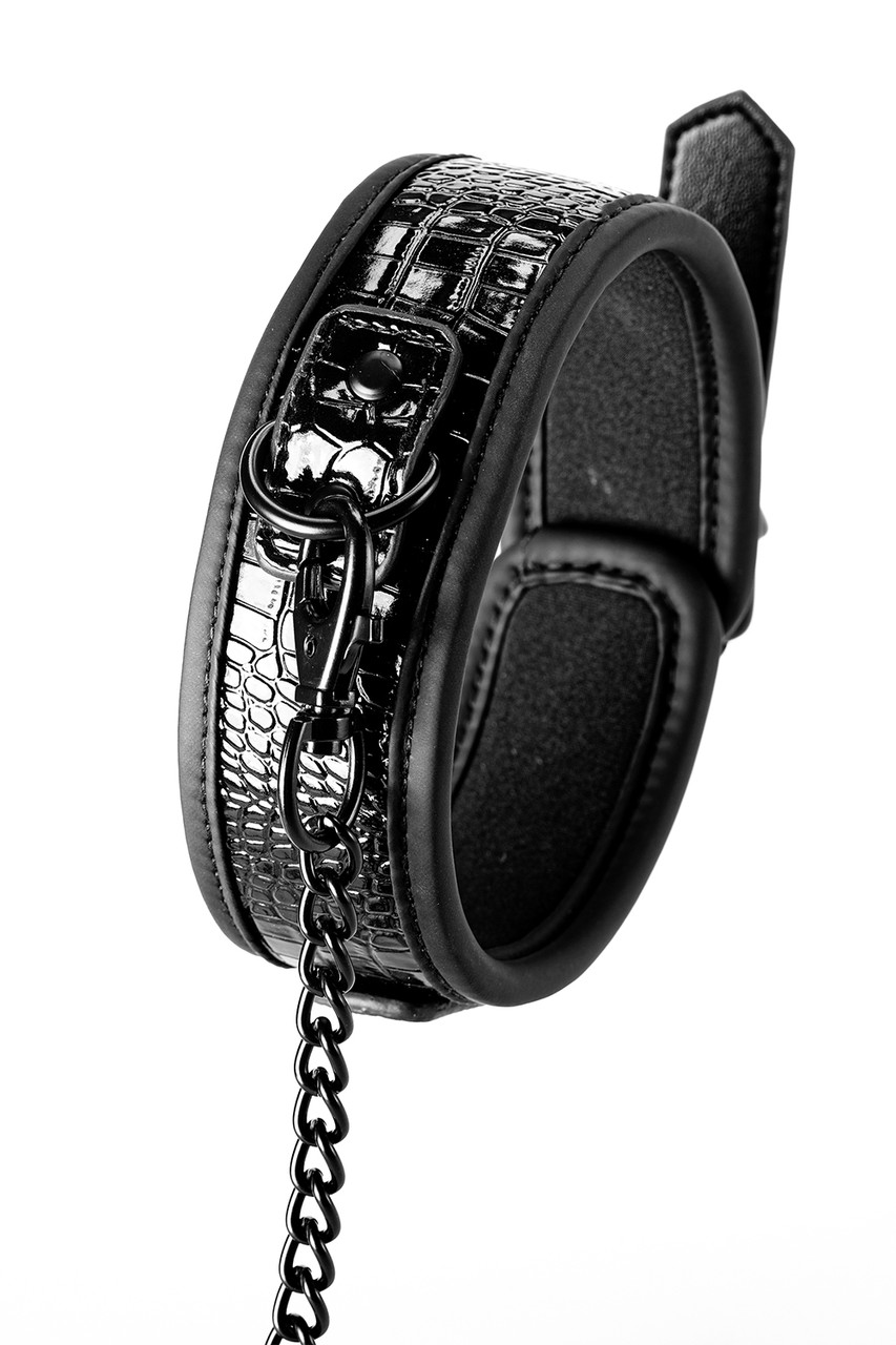 Купить Ошейник для человека с поводком черный BLAZE LUXURY COLLAR AND ...