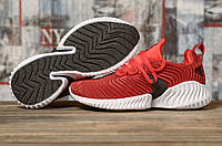 Кроссовки женские 16771, Adidas AlphaBounce Instinct, красные [ 38 ] р.(38-23,7см)