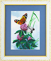 Бабочки на клевере Атлас с рисунком для частичной вышивки бисером Ангеліка A-544