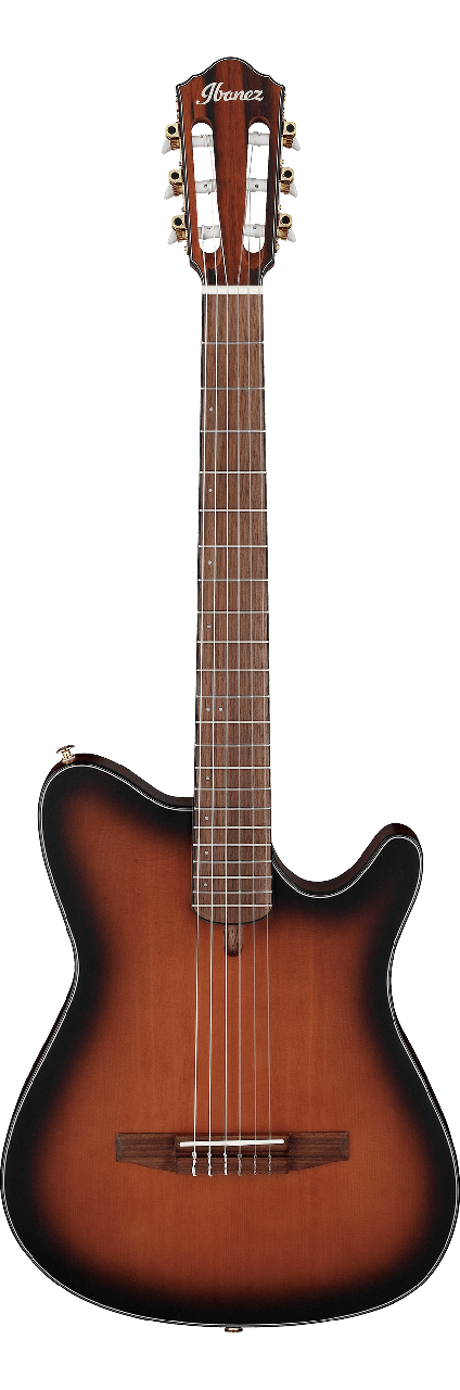 Електро-акустична гітара IBANEZ FRH10N BSF