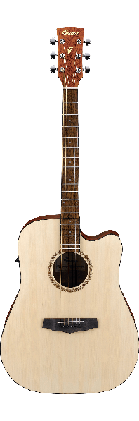 Ibanez pf10ce 2024