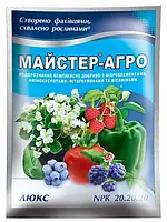 Мастер Агро ЛЮКС NPK 20.20.20 100г.