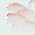 Інтенсивний живильний гель для губ - Image Skincare Ormedic Sheer PINK Lip Enhancement Complex, фото 3