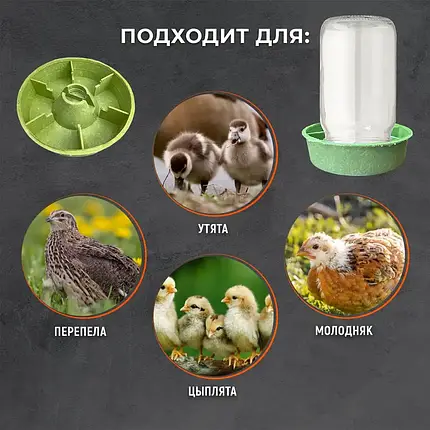 Годівниця багатосекційна під пляшку, банку. Підходить для курей, курчат, курчат, перепелів, індиків, бройлерів, фото 3