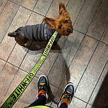 Худі для собак та кішок Essentials з капюшоном, фото 9