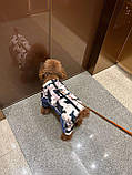 Зимовий одяг для собак, Комбінезон, фото 3