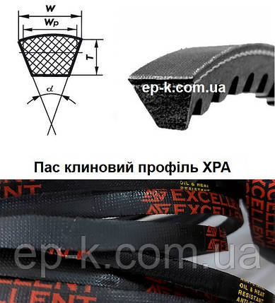 Ремінь зубчастий ХРА EXL, фото 1