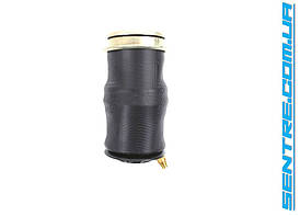 Пневмоподушка кабіни задня Renault Premium, Magnum, Kerax 7482052893, 5010552241, FibreTech 945454-S