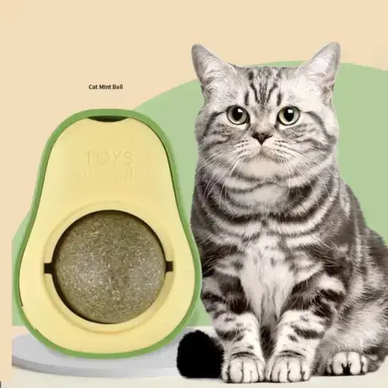 Игрушка-лакомство шарик кошачья мята, конфета для котов, мятный шарик для кошек - фото 3 - id-p1836527250