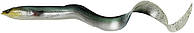 Силікон Savage Gear 3D Real Eel Loose Body 150mm 12.0g Green Silver поштучно (158229) 1854.24.37