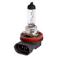 H11 Pulso Halogen