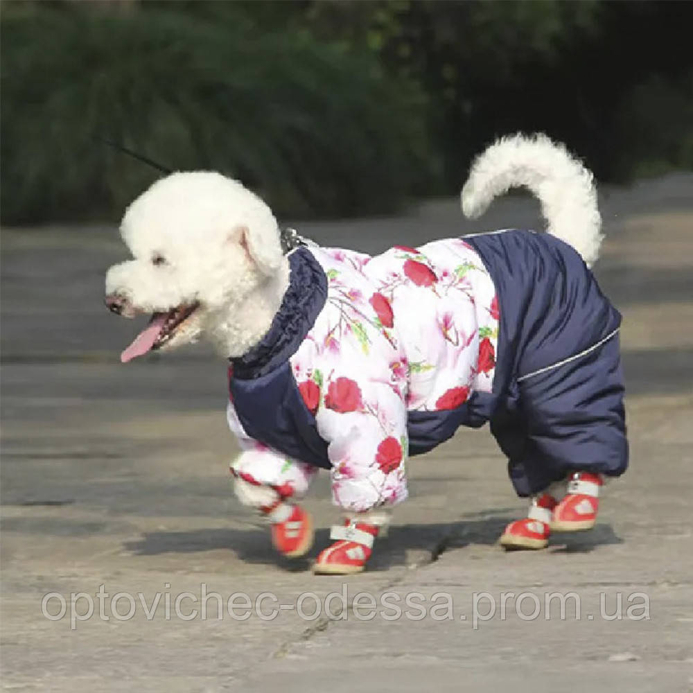 Комбінезон для собак Одяг для собак Девочка 12-suit 2-3.5kg Хіт продажу!