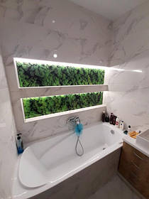 Стеклянные стеновые фотопанели Мох на стену ванной комнаты 1