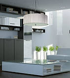 Люстра-підвіс регульований світильник, фото 3