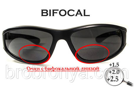 Окуляри біфокальні поляризаційні (захисні) BluWater Winkelman-2 polarized (+2.5 bifocal), (gray) чорні, фото 1