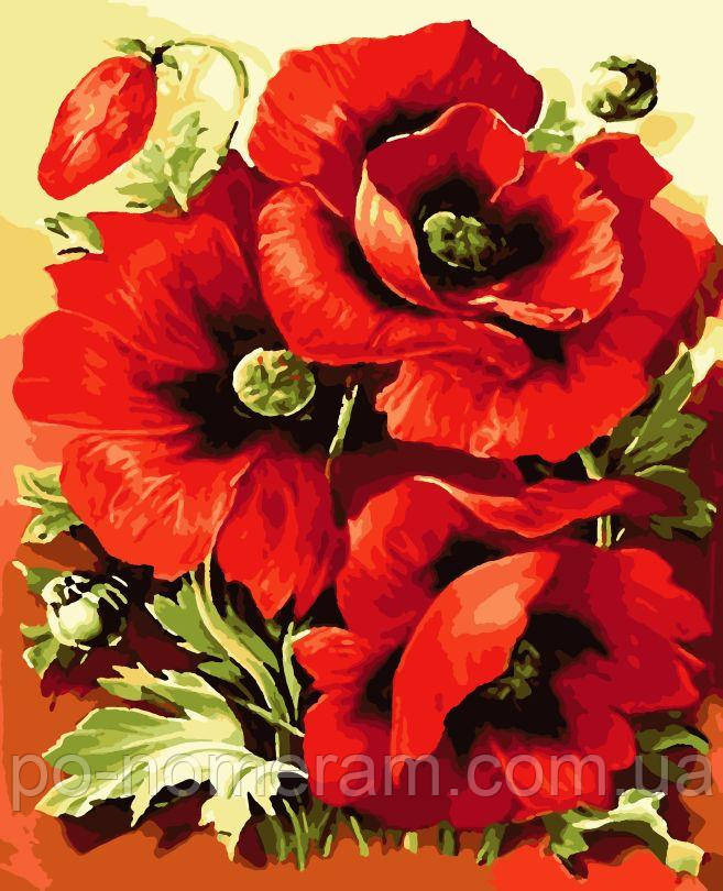 Картина за номерами Artissimo Яскраві маки (PNX6509) 50 х 60 см
