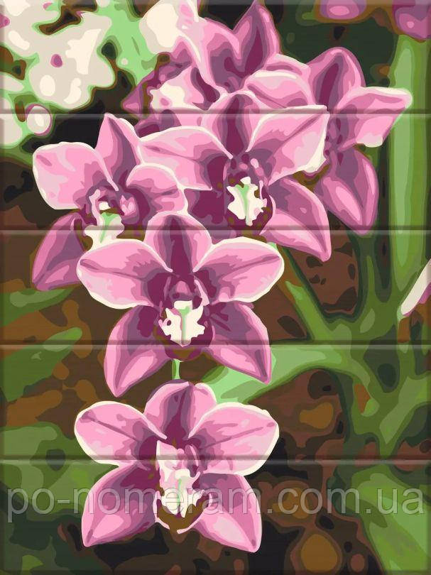Розмальовка для дорослих ArtStory Рожеві орхідеї (ASW227) 30 х 40 см