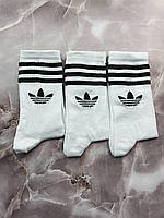 Шкарпетки Adidas білі ( 12 пар )