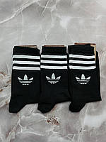 Шкарпетки Adidas чорні ( 12 пар )