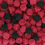 Желейні ягоди Haribo Berries 175g, фото 2