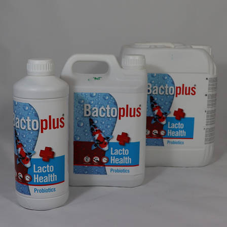 Bacto Plus Lacto Health, 1 л — пробіотик для декоративних риб (КОІ), фото 2