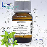 Ароматизатор М'ята 0336, фото 6