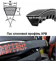 Ремінь зубчастий XPВ EXL 14 х 13 зуб -1000
