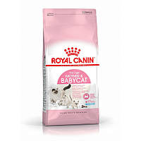 Royal Canin Mother & Babycat 10 кг корм для котят Роял Канин Мазер Беби Кет