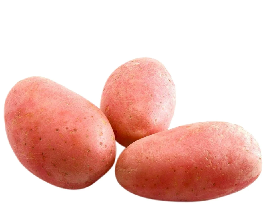 Картопля молода рожева