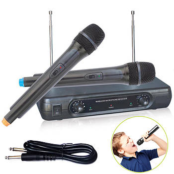 Бездротовий мікрофон DM BS 206, з радіосистемою / База на 2 мікрофони з регулюванням гучності