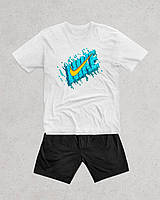 Мужской комплект футболка и шорты Nike летний мужской комлект футболка и шорты Nike Xl