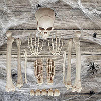 Декоративные кости для Хэллоуина