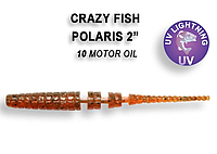 Съедобный силикон Crazy Fish Polaris 2." 17-54-10-6 кальмар