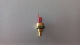 0020075975 Заглибний датчик NTC 40-110 °C Pure, turboFit 1/8" Vaillant, фото 8