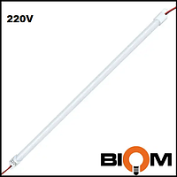 Світлодіодна лінійка OEM LB-060-9-6-220 9 Вт 6000 К 600 mm AC 220 IP20 матова