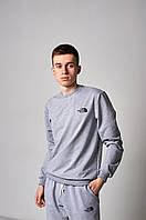 Чоловічий світшот The North Face, сірого кольору