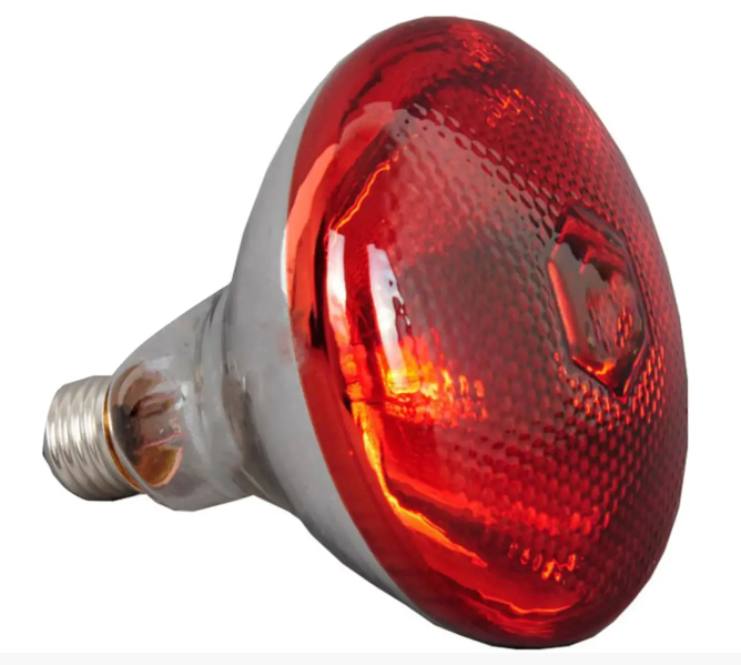 Інфрачервона лампа 250 Вт для обігріву (червоне скло), фото 1