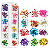 Дизайн нігтів із засушеними квітами, Сухоцвіти для дизайну нігтів, набір 12 кольорів.