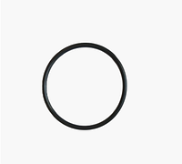 Уплотнительное кольцо для водного фильтра AQUASTRONG 103.5*5.3