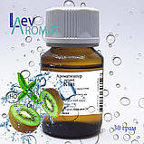 Ароматизатор Ківі ж/р; 0276, фото 3