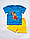 Детский летний комплект для мальчика футболка с печатью и шорты 2,3,4,5,6,7,8 лет, фото 8