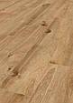 Ламінат Kronostep K405 Дуб Солар (Дуб Сонячний), фото 4