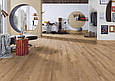 Ламінат Kronostep K405 Дуб Солар (Дуб Сонячний), фото 7