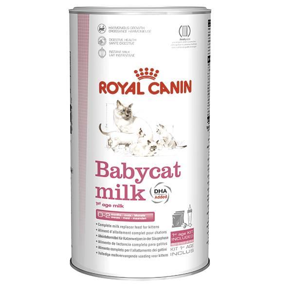 Заменитель молока для котят Royal Canin Babycat Milk 300 г (25530039) - фото 1 - id-p1837639853